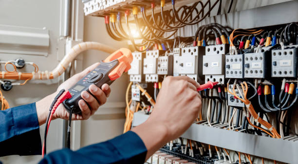 Best Electric Panel Repair  in Narrows, VA