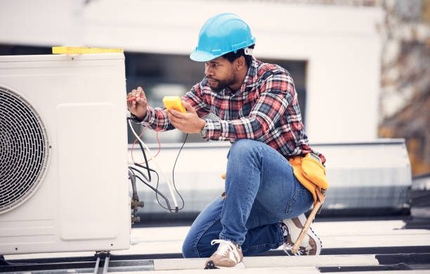 Best Electric Panel Repair  in Narrows, VA